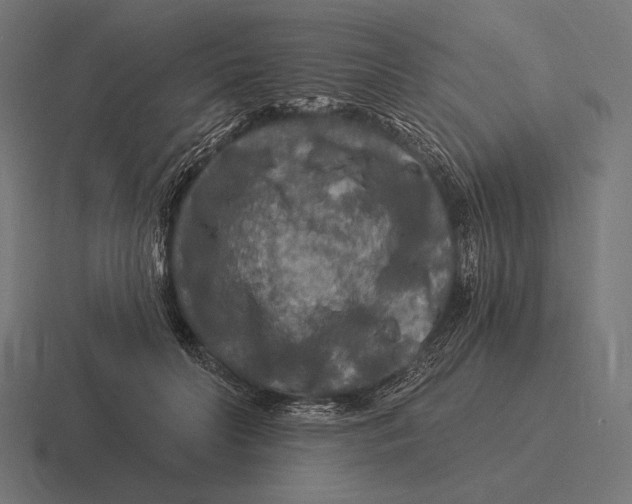 X0000116590606200912291309