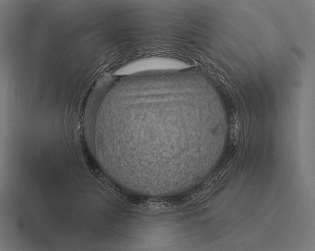 X0000116590608200912291309