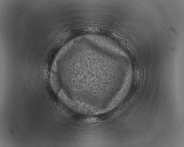 X0000116590609200912291309