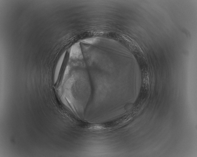 X0000116590610200912291309