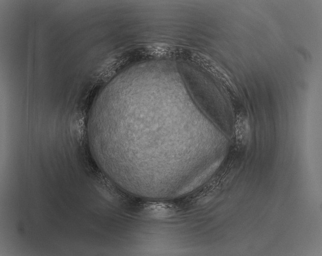 X0000116590611200912291309