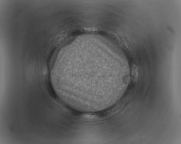 X0000116590614200912291309