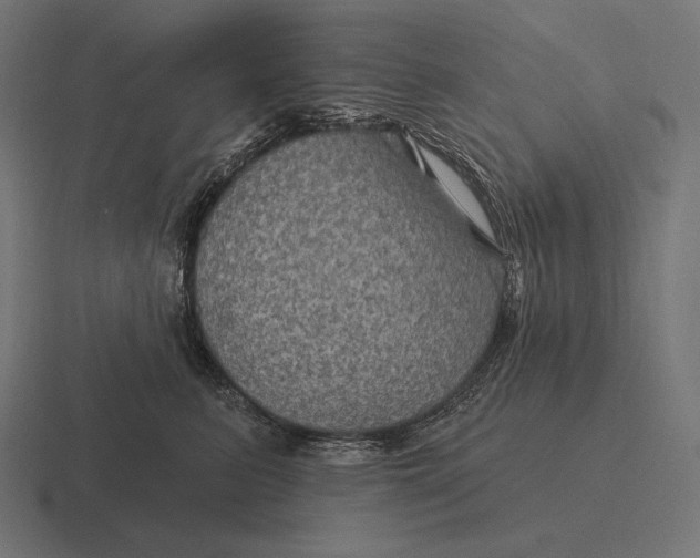 X0000116590615200912291309