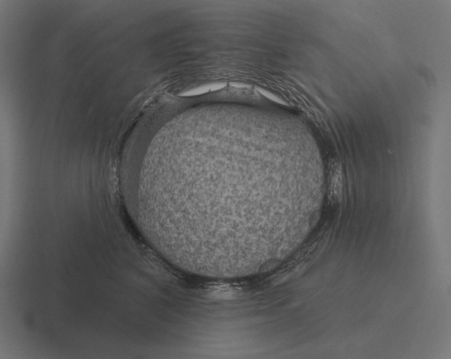 X0000116590616200912291309