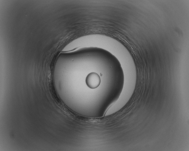 X0000116590617200912291309