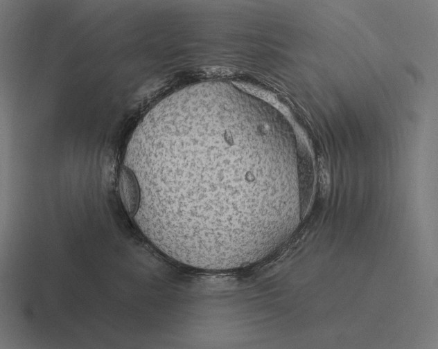 X0000116590619200912291309