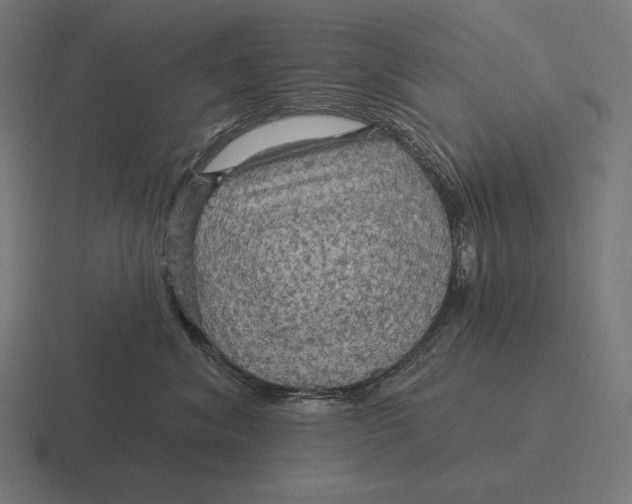 X0000116590620200912291309