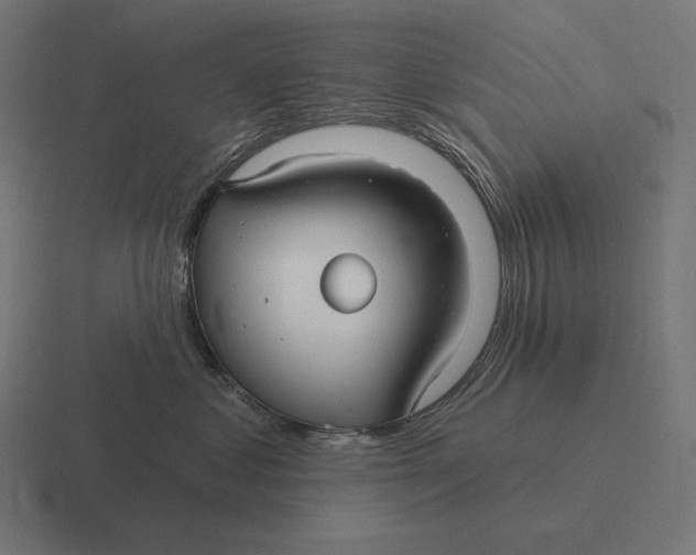 X0000116590621200912291309