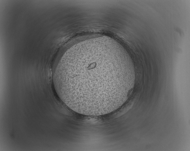 X0000116590624200912291309