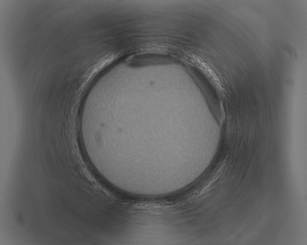 X0000116590625200912291308