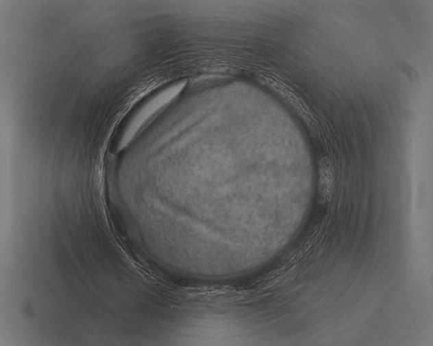 X0000116590626200912291308