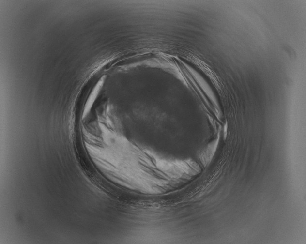 X0000116590627200912291308