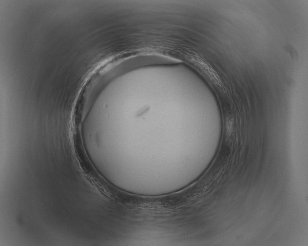 X0000116590628200912291308