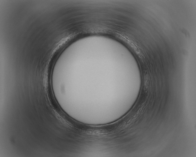 X0000116590629200912291308