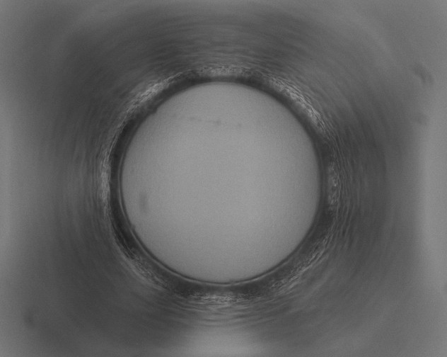 X0000116590631200912291308