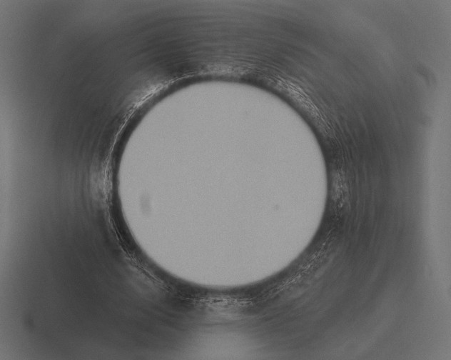 X0000116590632200912291309