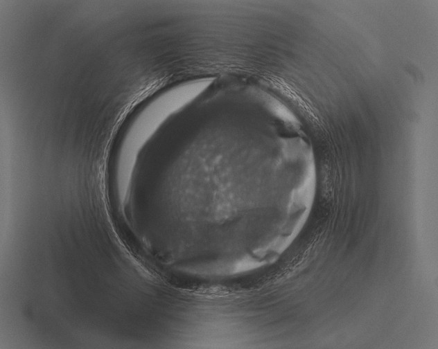 X0000116590634200912291309