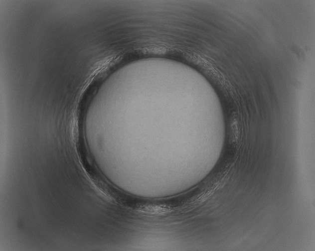 X0000116590638200912291309