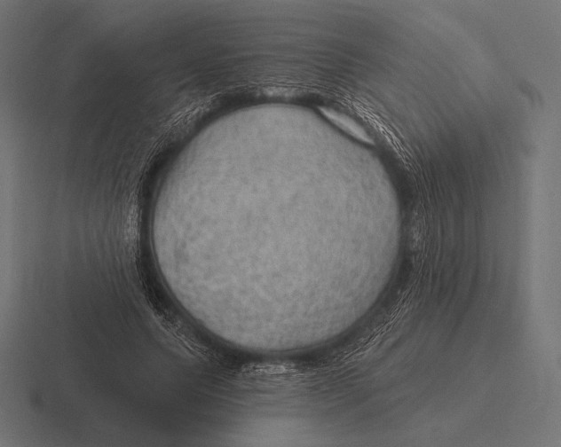 X0000116590639200912291309