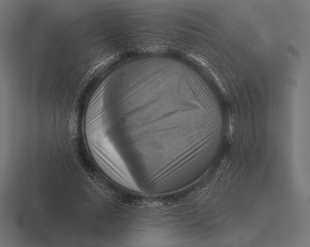 X0000116590640200912291309