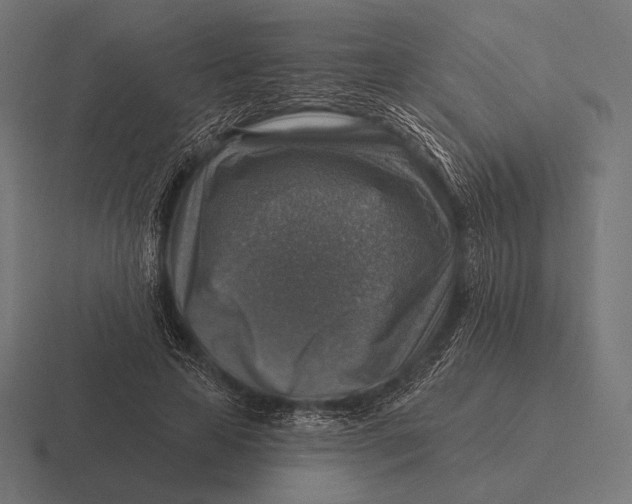 X0000116590641200912291309