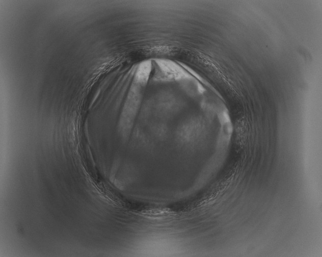 X0000116590642200912291309