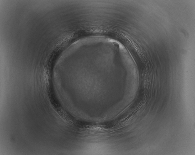 X0000116590643200912291309