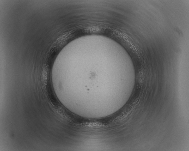 X0000116590645200912291309