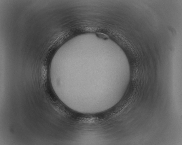 X0000116590646200912291309