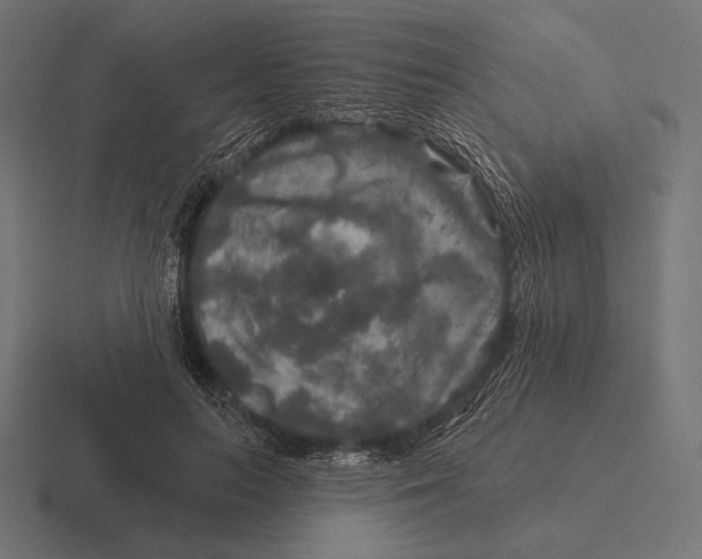 X0000116590647200912291309