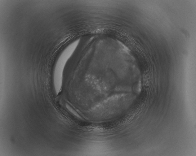 X0000116590648200912291309