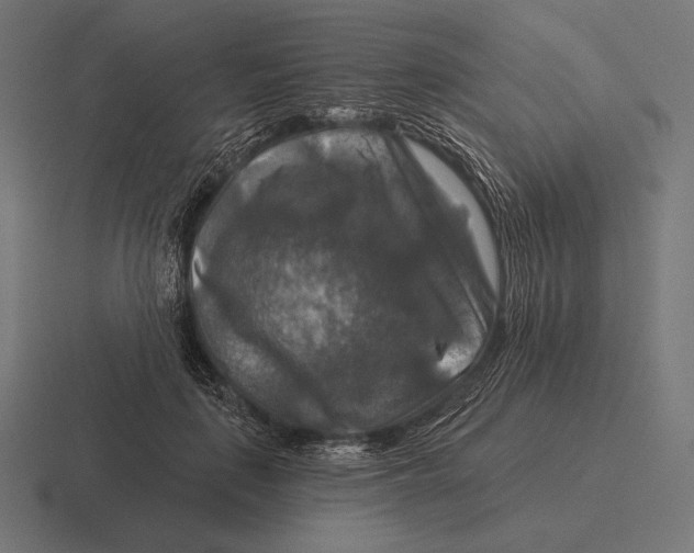 X0000116590651200912291309