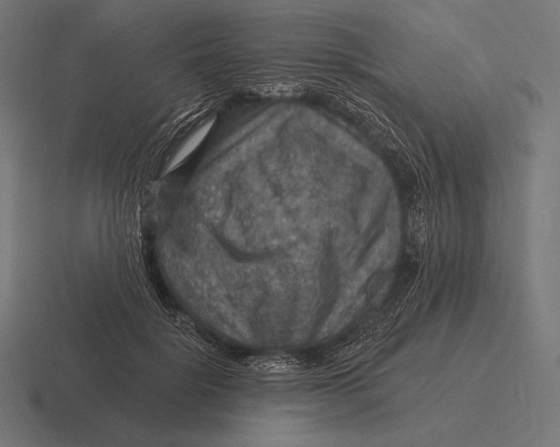 X0000116590652200912291309