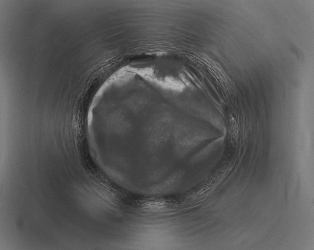 X0000116590653200912291309