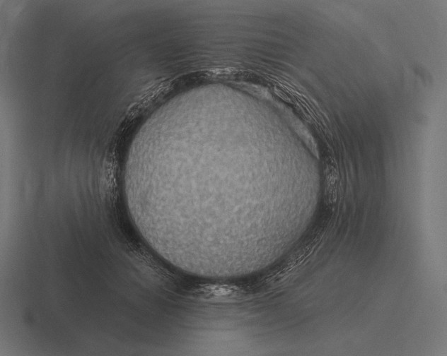 X0000116590654200912291309