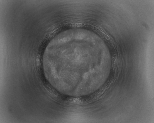 X0000116590655200912291309