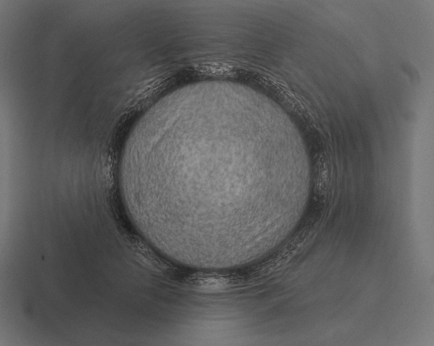 X0000116590658200912291309