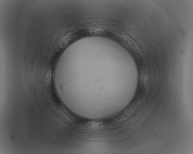 X0000116590660200912291309