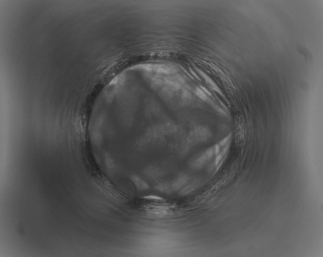 X0000116590661200912291309