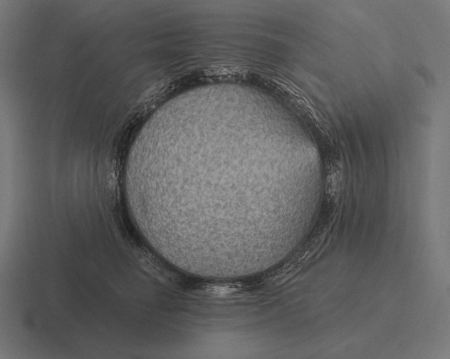 X0000116590662200912291309