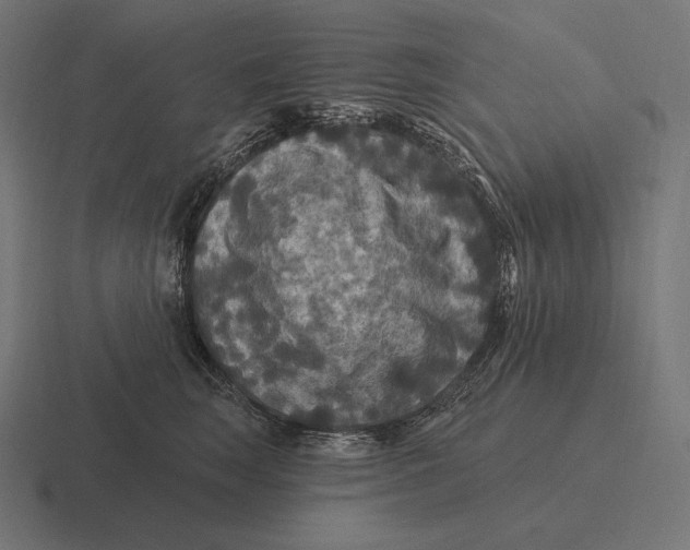 X0000116590663200912291309