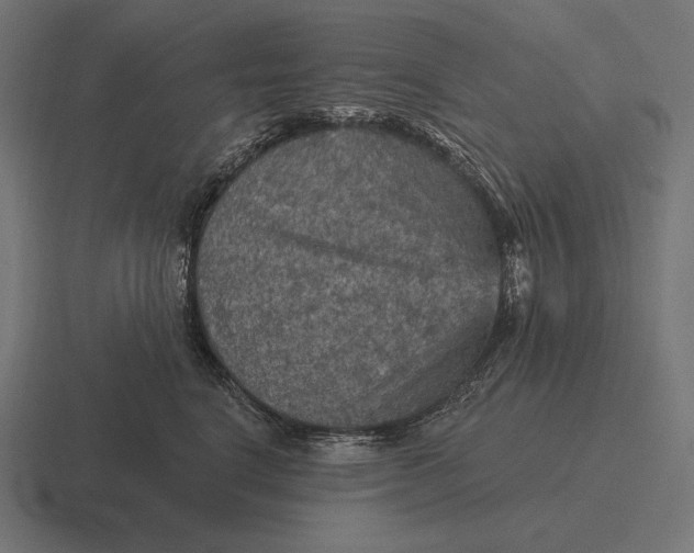 X0000116590664200912291309