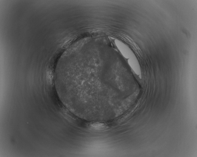 X0000116590669200912291309