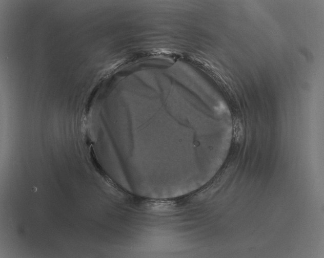 X0000116590670200912291309