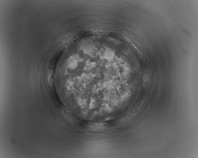 X0000116590671200912291309