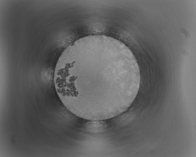 X0000116590672200912291309