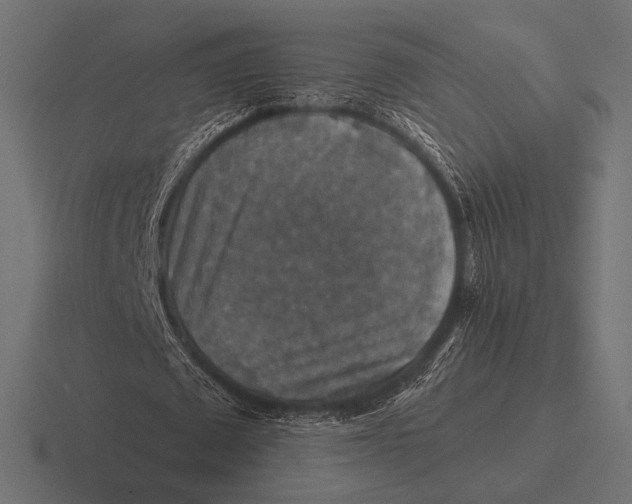 X0000116590673200912291308