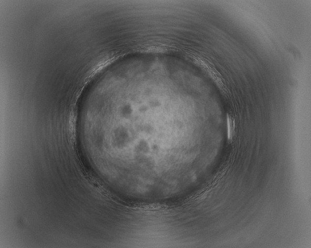 X0000116590675200912291308