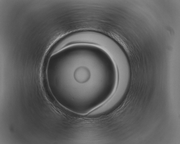 X0000116590676200912291308