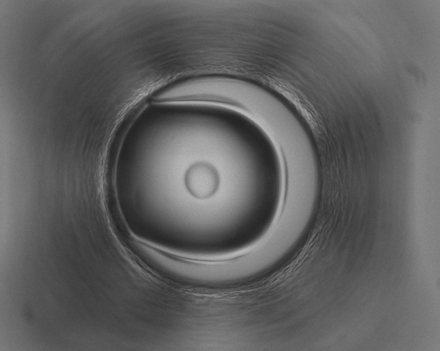 X0000116590677200912291308